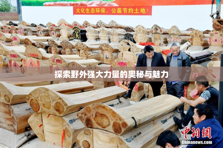 探索野外强大力量的奥秘与魅力