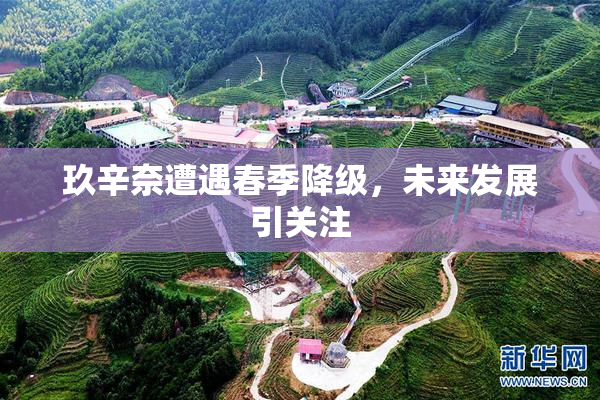 玖辛奈遭遇春季降级，未来发展引关注