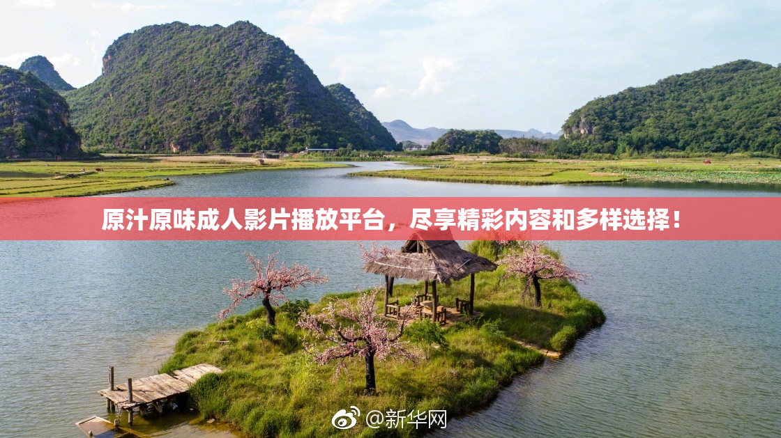 原汁原味成人影片播放平台，尽享精彩内容和多样选择！