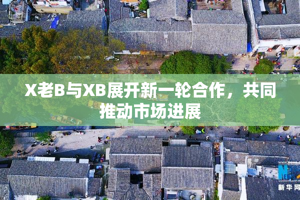 X老B与XB展开新一轮合作，共同推动市场进展