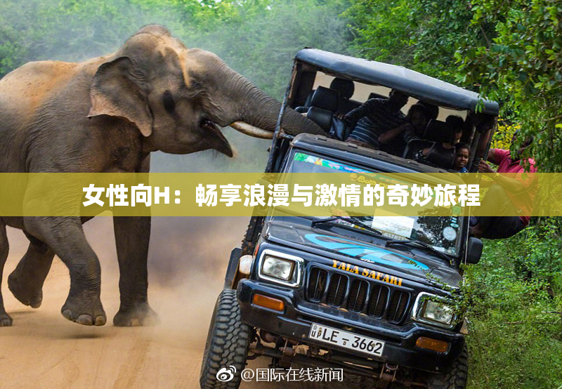 女性向H：畅享浪漫与激情的奇妙旅程