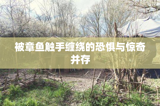 被章鱼触手缠绕的恐惧与惊奇并存
