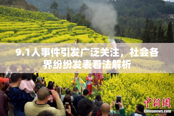 9.1人事件引发广泛关注，社会各界纷纷发表看法解析