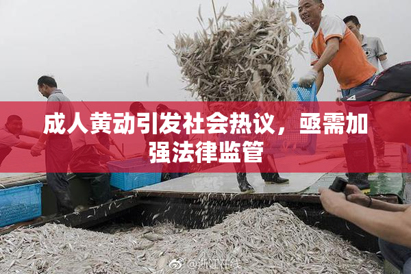 成人黄动引发社会热议，亟需加强法律监管