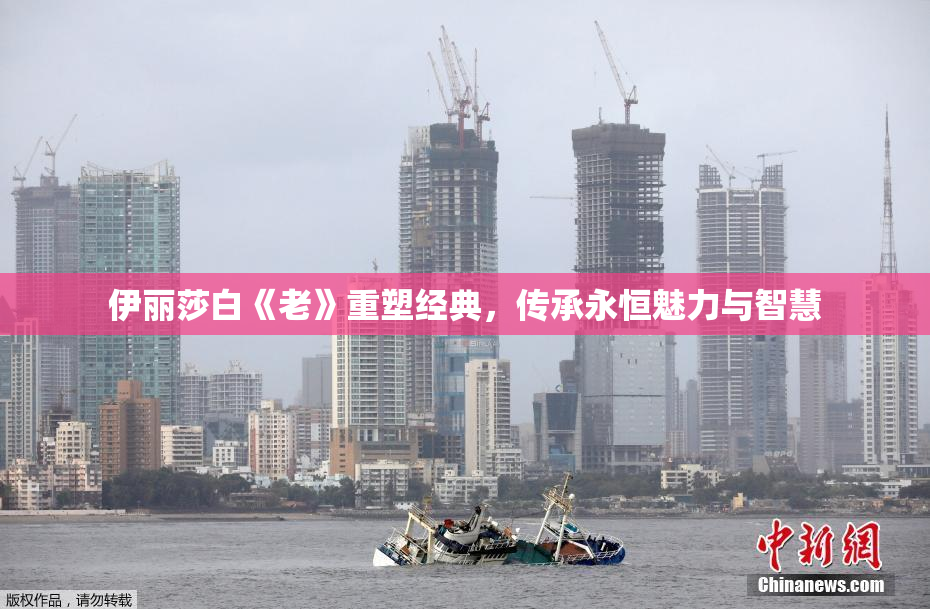 伊丽莎白《老》重塑经典，传承永恒魅力与智慧