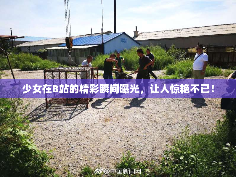少女在B站的精彩瞬间曝光，让人惊艳不已！