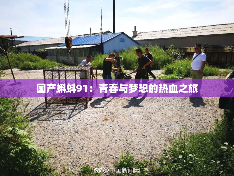 国产蝌蚪91：青春与梦想的热血之旅