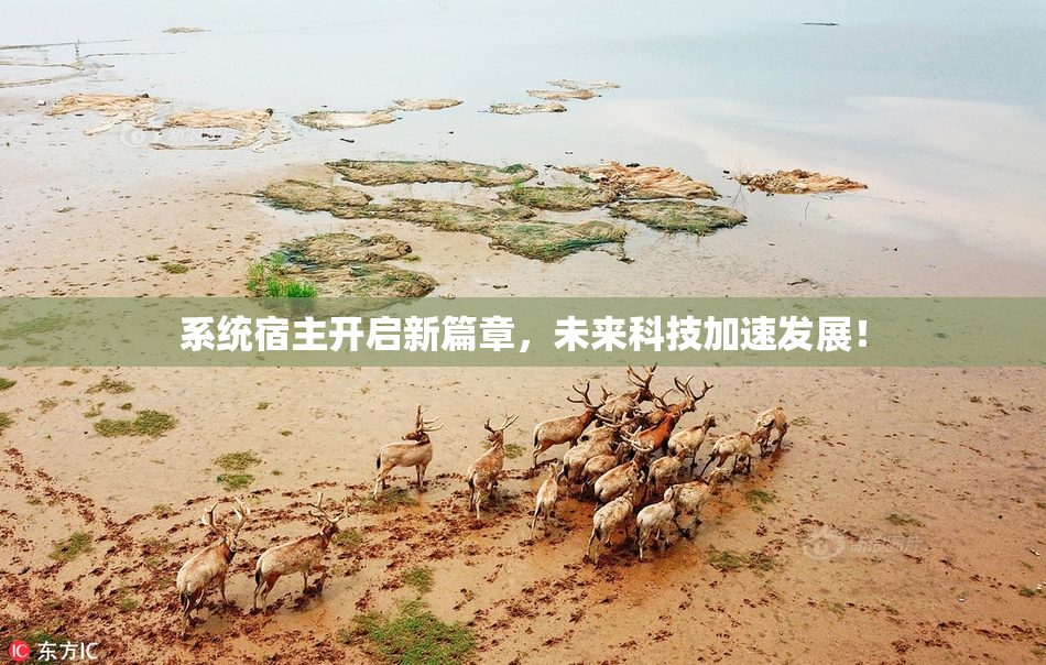 系统宿主开启新篇章，未来科技加速发展！