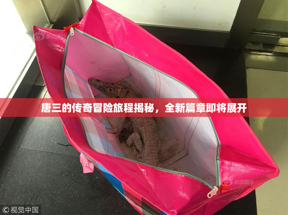 唐三的传奇冒险旅程揭秘，全新篇章即将展开