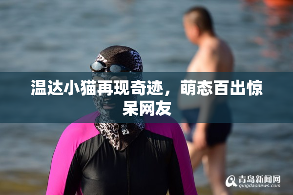 温达小猫再现奇迹，萌态百出惊呆网友
