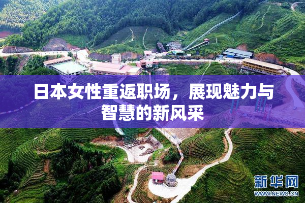 日本女性重返职场，展现魅力与智慧的新风采