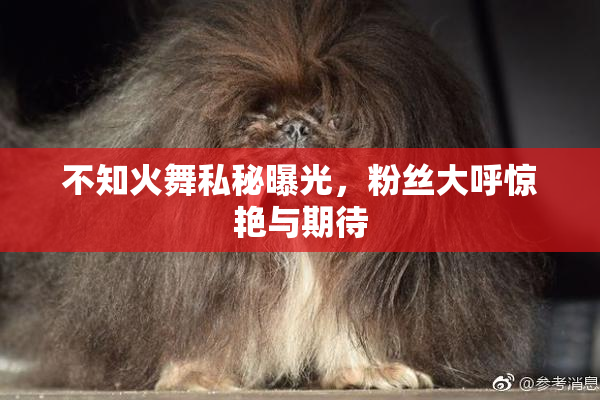 不知火舞私秘曝光，粉丝大呼惊艳与期待