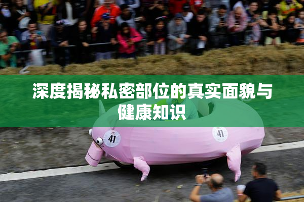 深度揭秘私密部位的真实面貌与健康知识
