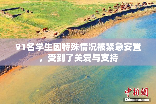 91名学生因特殊情况被紧急安置，受到了关爱与支持
