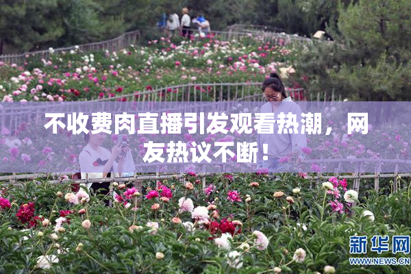 不收费肉直播引发观看热潮，网友热议不断！