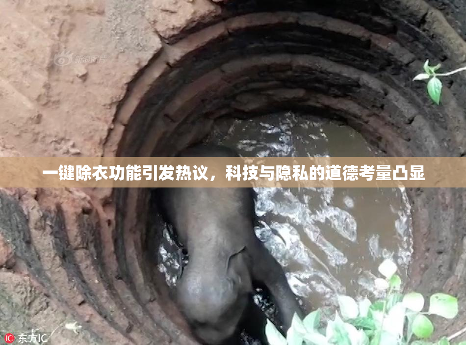 一键除衣功能引发热议，科技与隐私的道德考量凸显