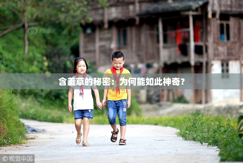 含羞草的秘密：为何能如此神奇？