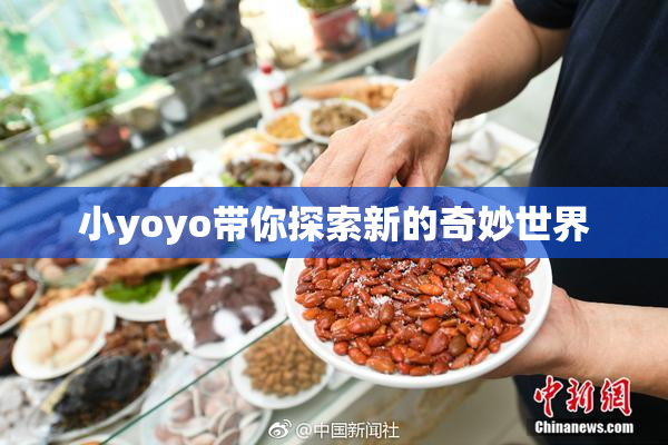 小yoyo带你探索新的奇妙世界