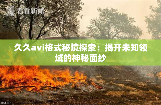 久久avi格式秘境探索：揭开未知领域的神秘面纱