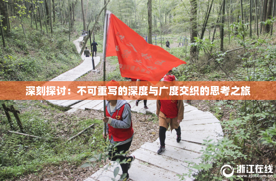 深刻探讨：不可重写的深度与广度交织的思考之旅