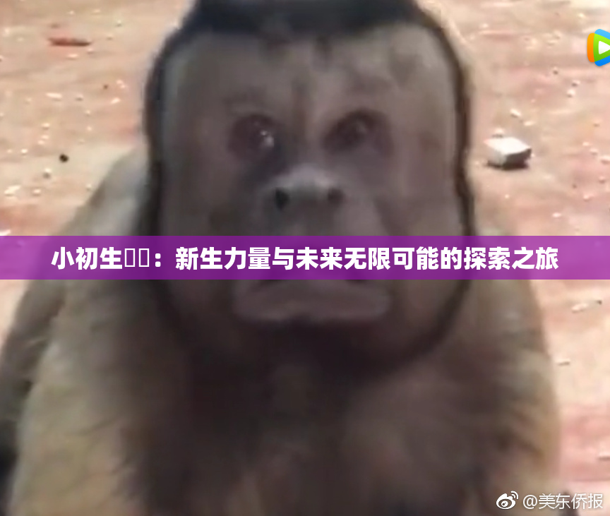 小初生❌‌：新生力量与未来无限可能的探索之旅