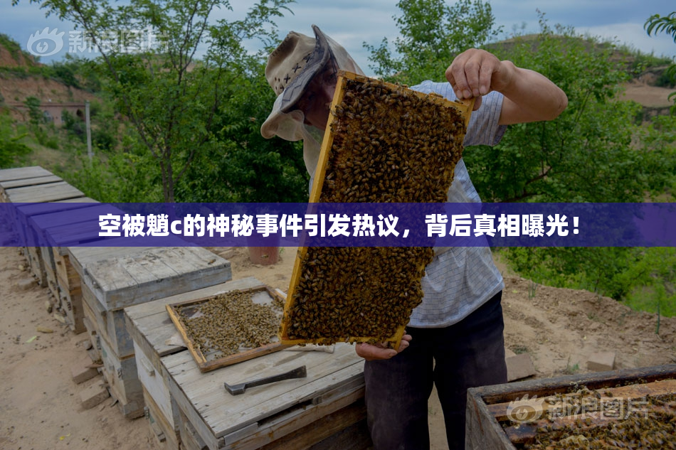 空被魈c的神秘事件引发热议，背后真相曝光！
