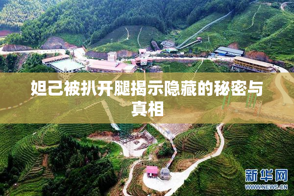 妲己被扒开腿揭示隐藏的秘密与真相