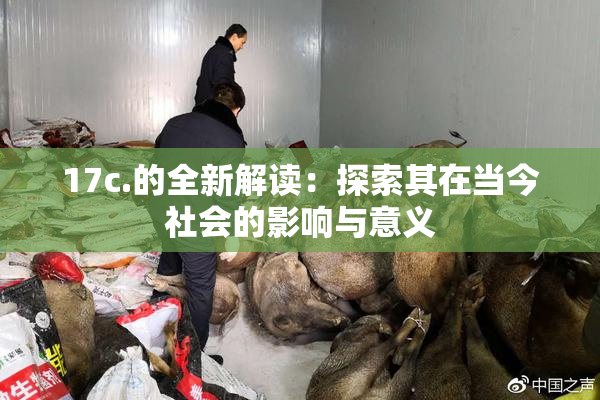 17c.的全新解读：探索其在当今社会的影响与意义