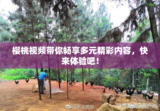 樱桃视频带你畅享多元精彩内容，快来体验吧！