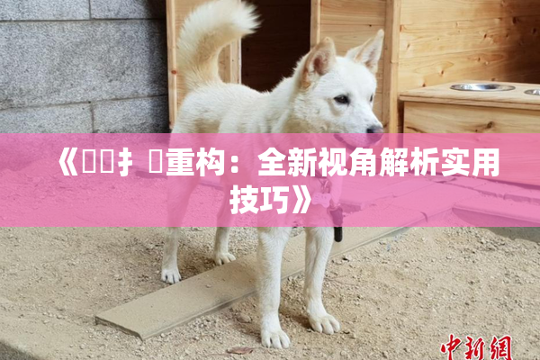 《喿喿扌畐重构：全新视角解析实用技巧》