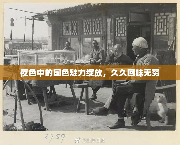 夜色中的国色魅力绽放，久久回味无穷