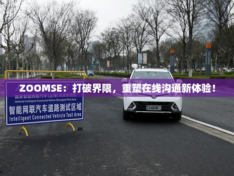 ZOOMSE：打破界限，重塑在线沟通新体验！