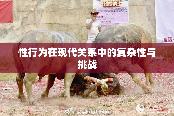 性行为在现代关系中的复杂性与挑战