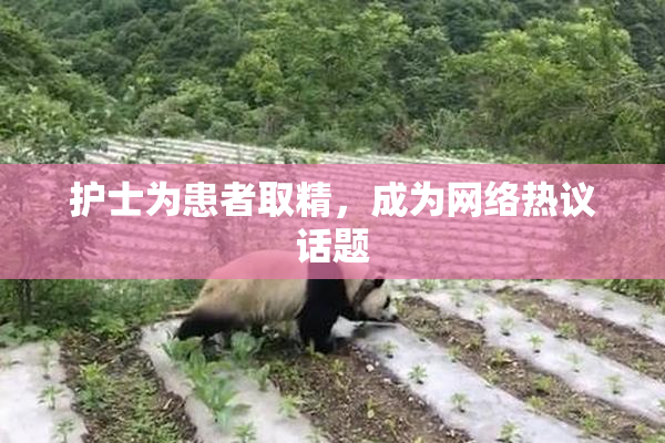 护士为患者取精，成为网络热议话题