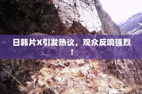 日韩片X引发热议，观众反响强烈！