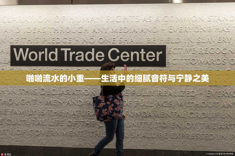 啪啪流水的小重——生活中的细腻音符与宁静之美