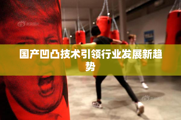 国产凹凸技术引领行业发展新趋势