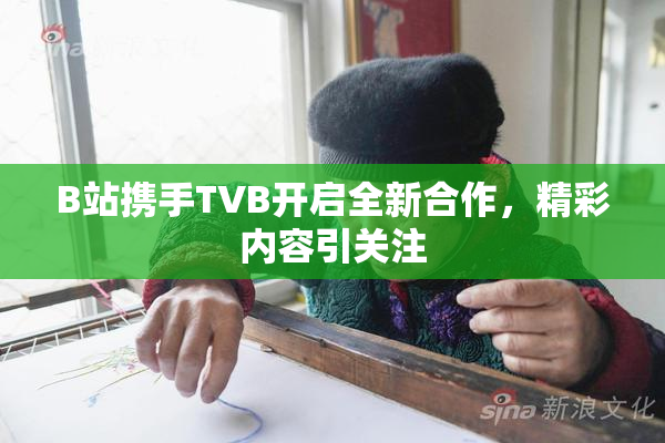 B站携手TVB开启全新合作，精彩内容引关注