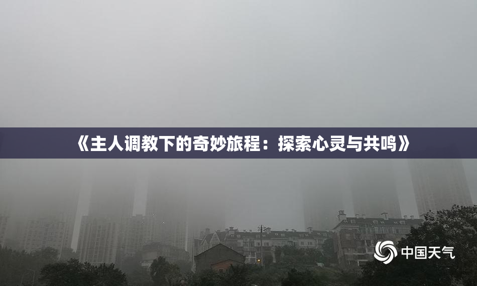 《主人调教下的奇妙旅程：探索心灵与共鸣》