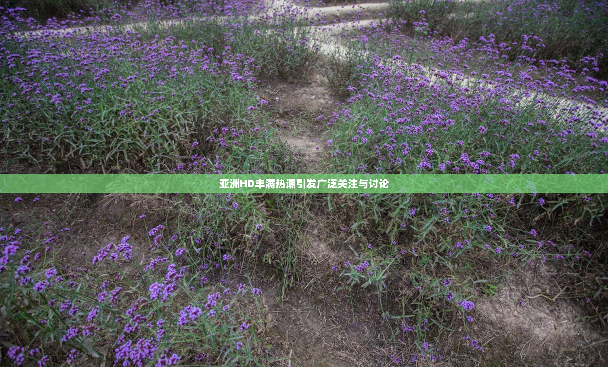 亚洲HD丰满热潮引发广泛关注与讨论