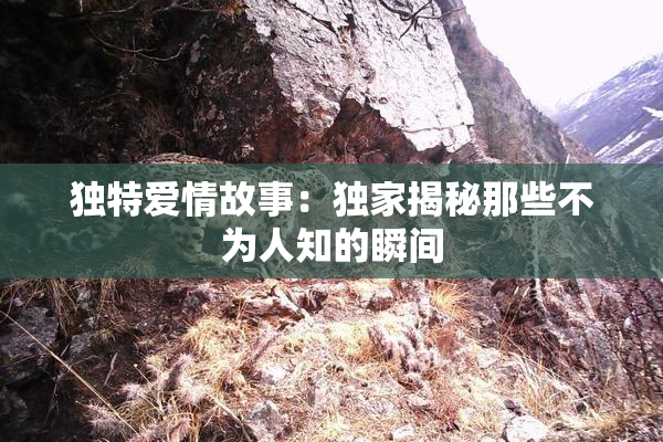 独特爱情故事：独家揭秘那些不为人知的瞬间