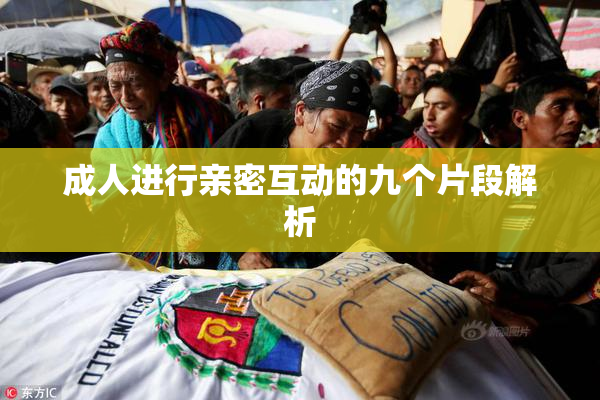 成人进行亲密互动的九个片段解析