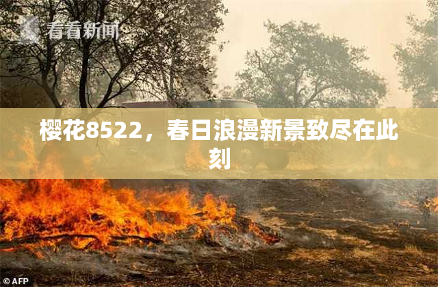 樱花8522，春日浪漫新景致尽在此刻
