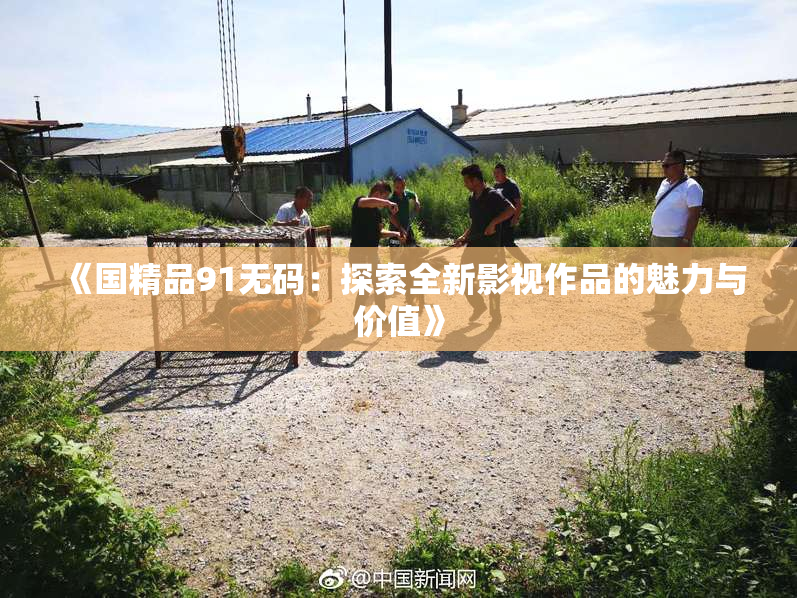 《国精品91无码：探索全新影视作品的魅力与价值》