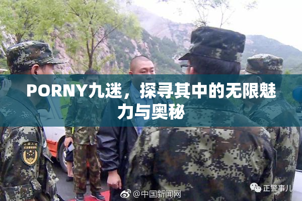 PORNY九迷，探寻其中的无限魅力与奥秘