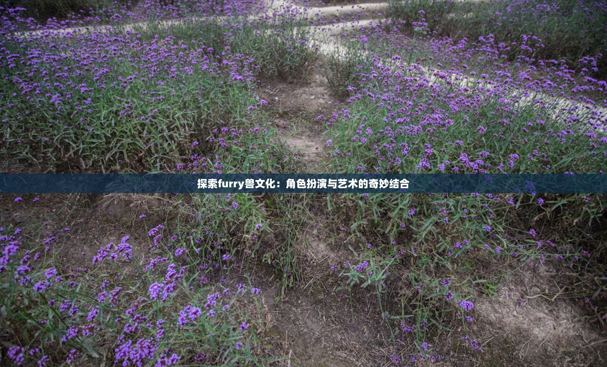 探索furry兽文化：角色扮演与艺术的奇妙结合