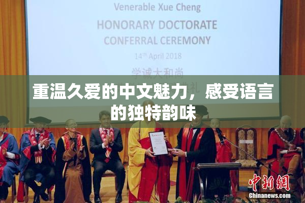重温久爱的中文魅力，感受语言的独特韵味