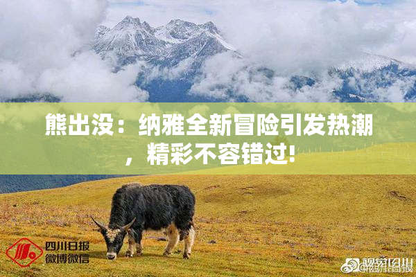 熊出没：纳雅全新冒险引发热潮，精彩不容错过!