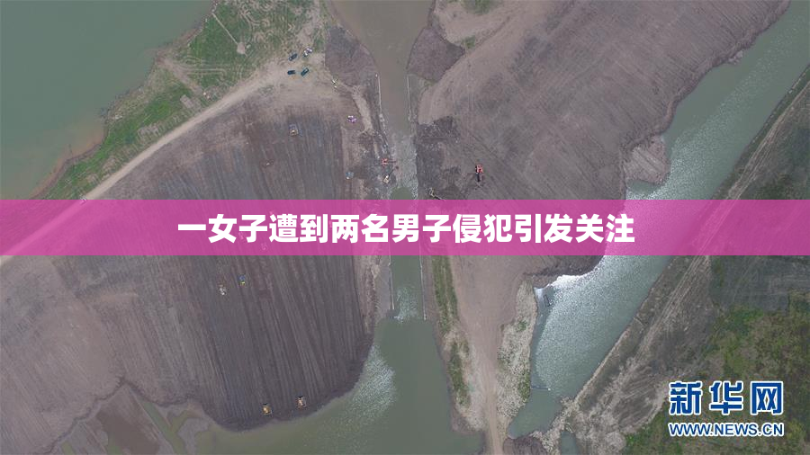 一女子遭到两名男子侵犯引发关注