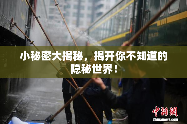 小秘密大揭秘，揭开你不知道的隐秘世界！